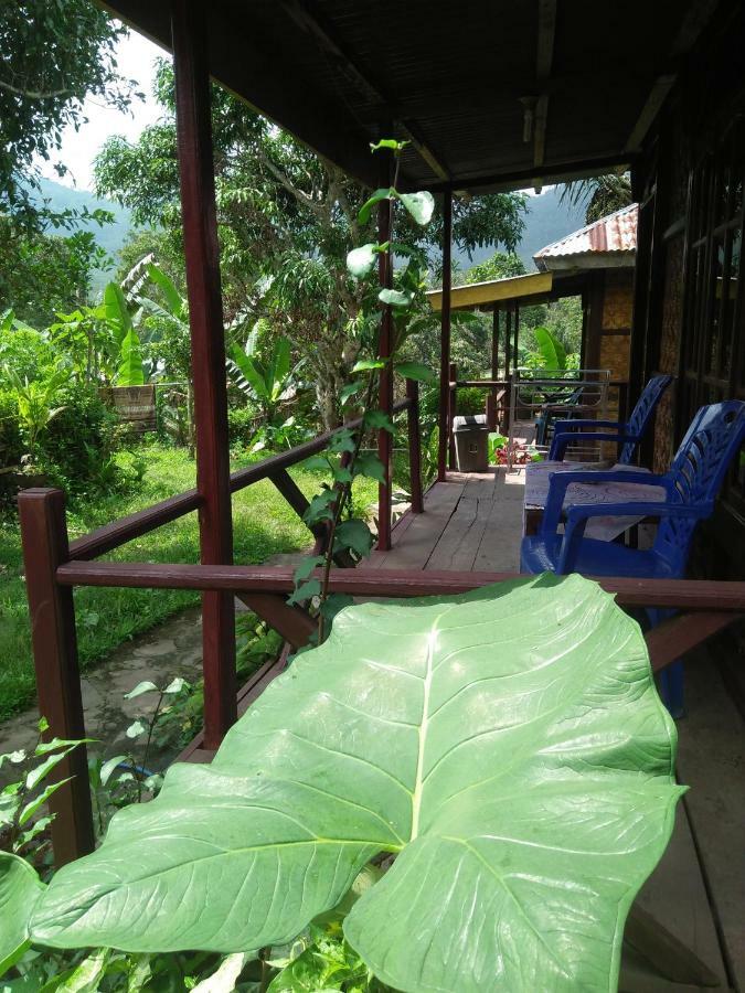 Hotel Palm Bungalow Kelimutu Exteriér fotografie